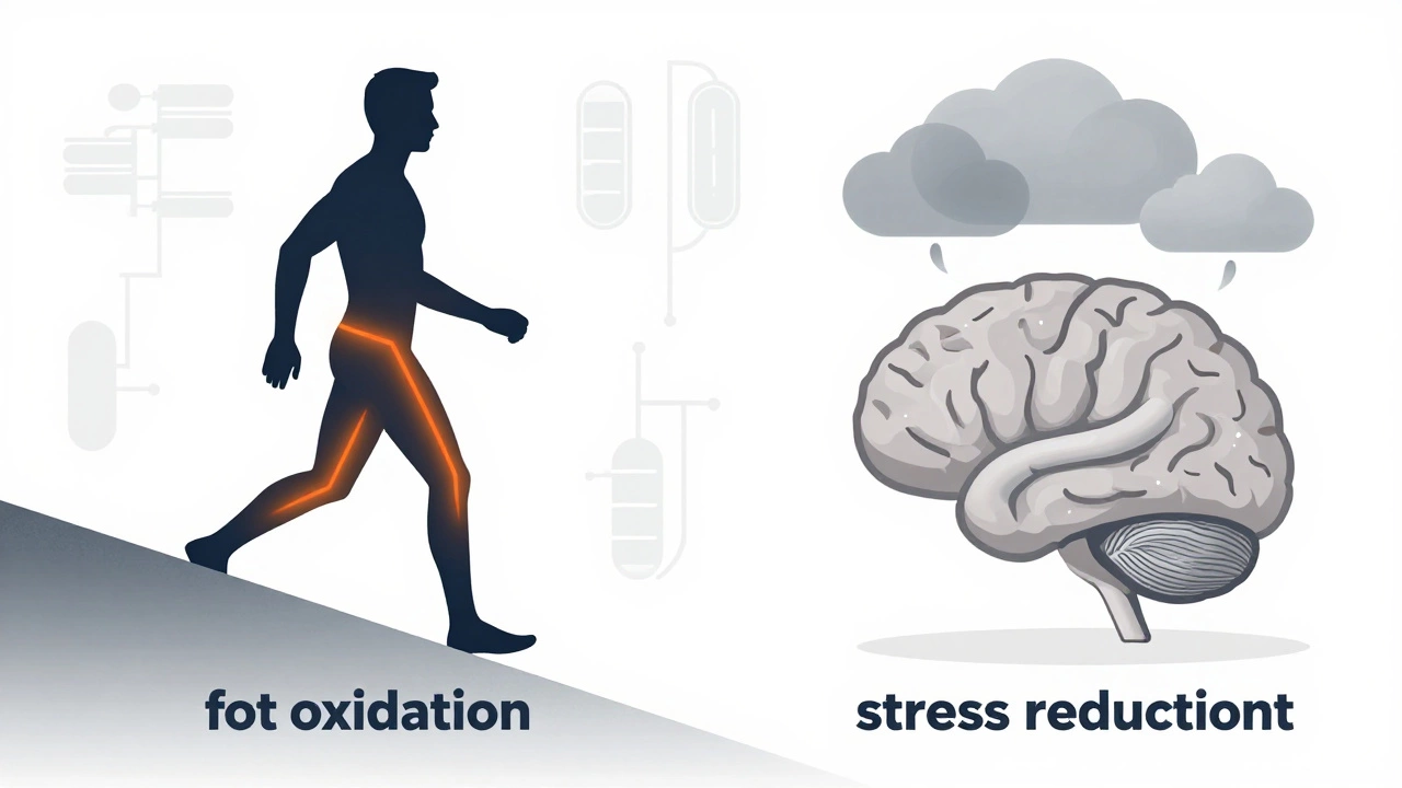 Illustration showing fat burning and reduced stress hormones during aerobic exercise.